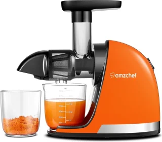 Slowjuicer Elektrische Sapcentrifuge Oranje