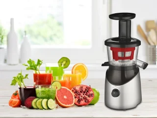 Slowjuicer Groente en Fruit Juicer