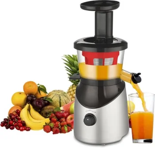 Slowjuicer Groente en Fruit Juicer