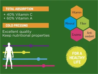 Slowjuicer Groente en Fruit Juicer