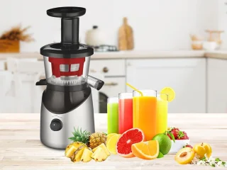 Slowjuicer Groente en Fruit Juicer
