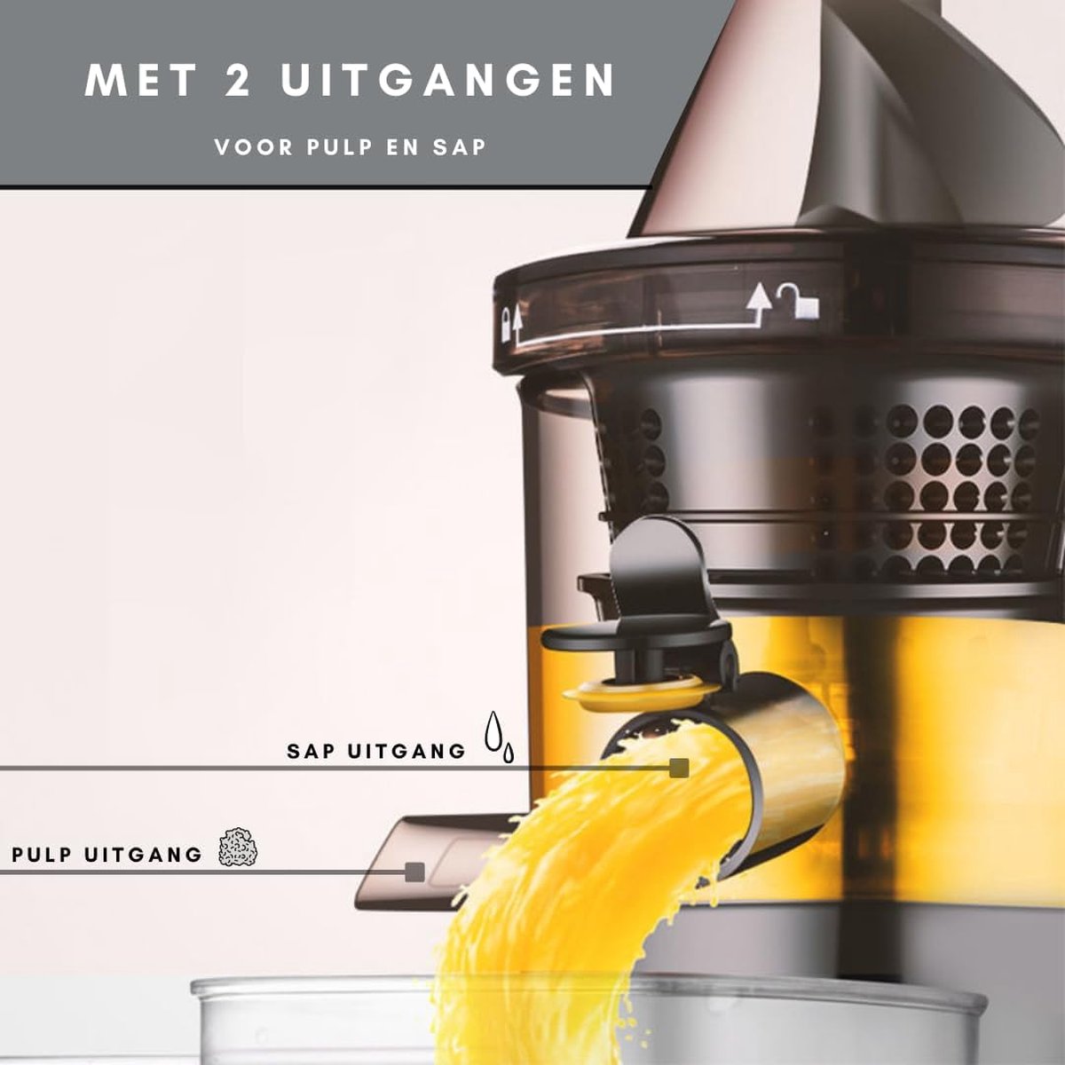 Slowjuicer Groente & Fruit Juicer