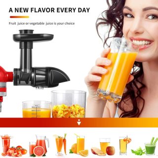 Slowjuicer Groente & Fruit Sapcentrifuge