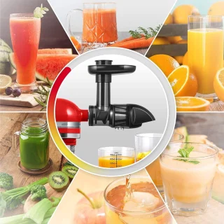 Slowjuicer Groente & Fruit Sapcentrifuge