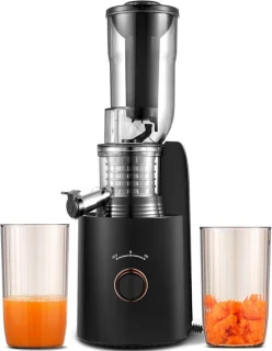 Slowjuicer Groenten- en Fruitpers Anti-Drup