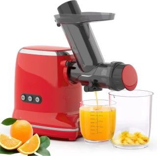 Slowjuicer Groenten en Fruitpers Anti Drup Juicer