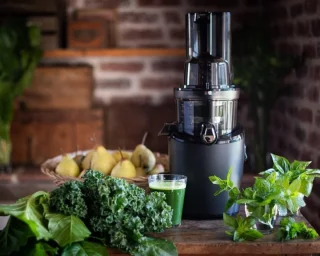 Slowjuicer Groenten en Fruitpers BPA Vrij met Pulpcontainer