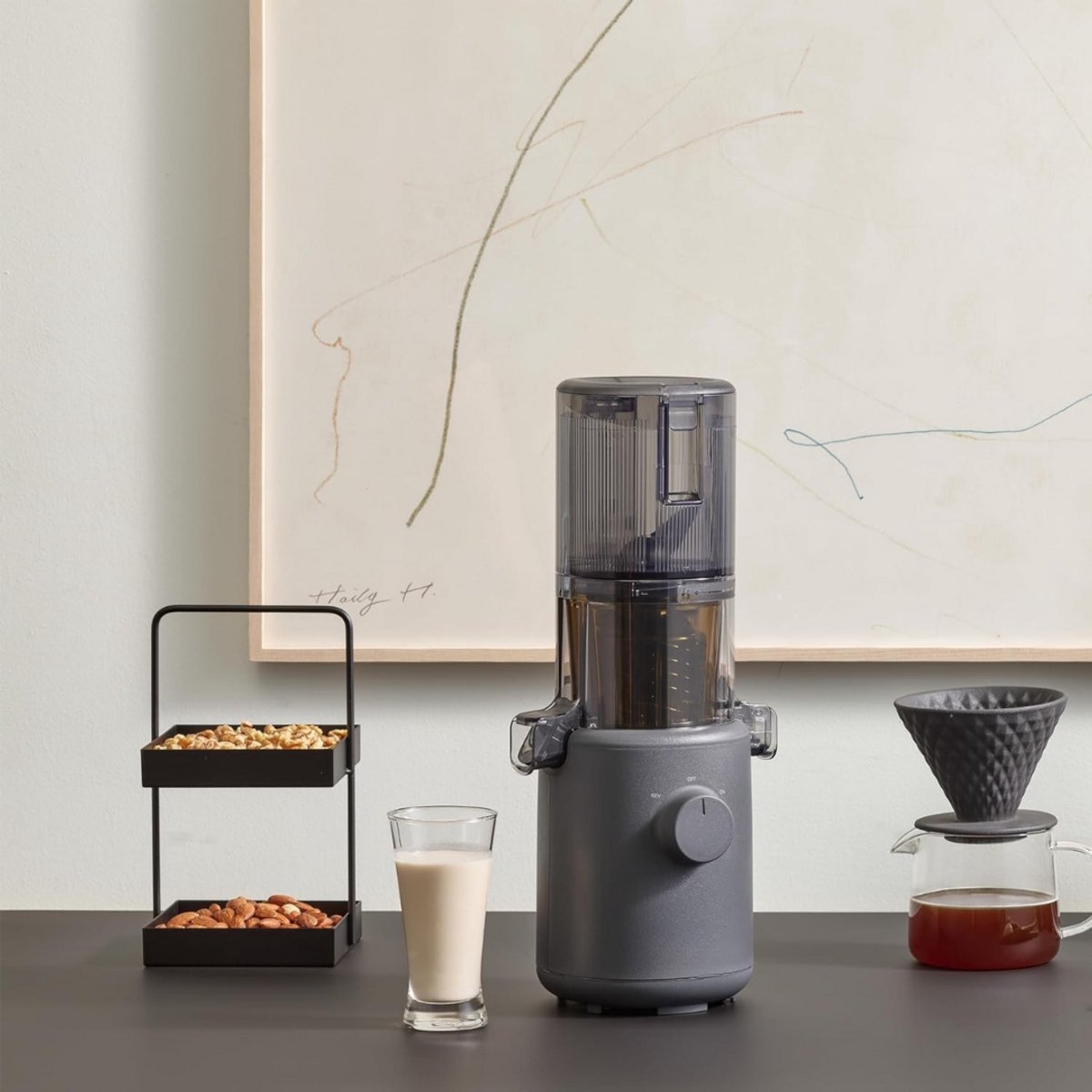 Slowjuicer Juice Maker BPA Vrij Met Pulpcontainer