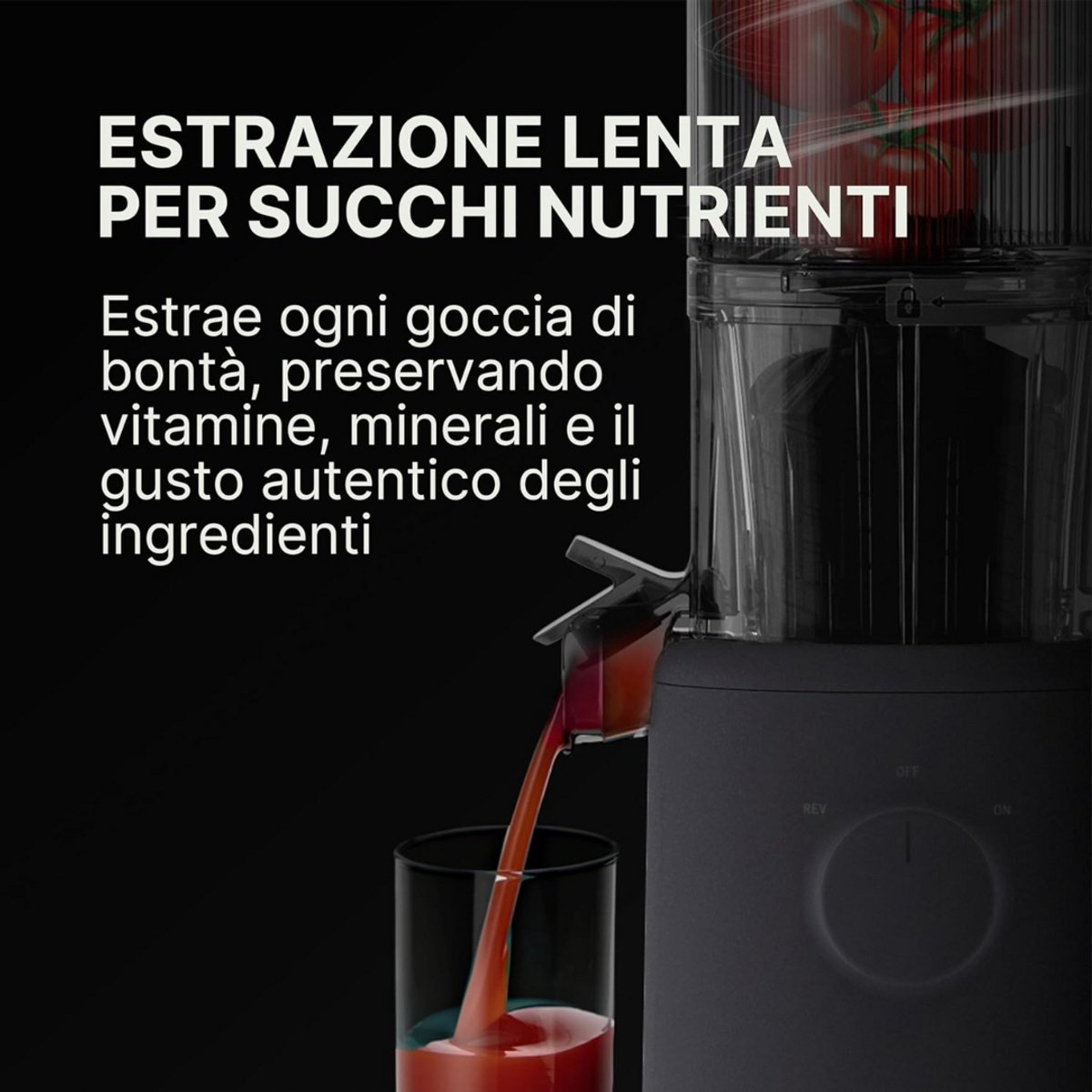 Slowjuicer Juice Maker BPA Vrij Met Pulpcontainer