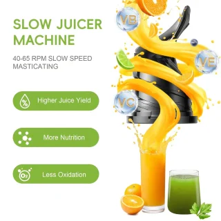 Slowjuicer - Juicer
