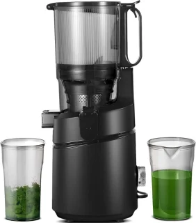 Slowjuicer Juicer Groenten Fruitpers BPA Vrij Met Pulpcontainer