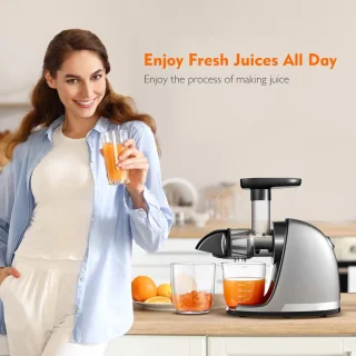 Slowjuicer Juicer Sapcentrifuge Groenten Fruitpers