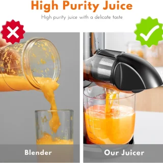 Slowjuicer Juicer Sapcentrifuge Groenten Fruitpers