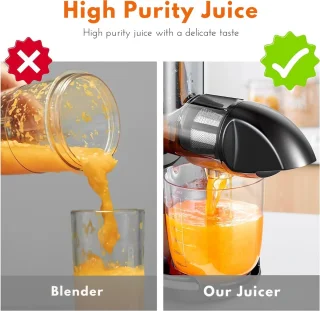 Slowjuicer Juicer Sapcentrifuge