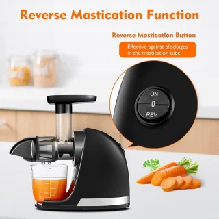 Slowjuicer Juicer Sapcentrifuge