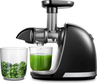 Slowjuicer Juicer Sapcentrifuge