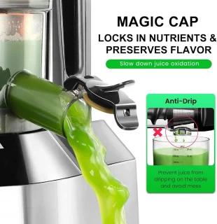 Slowjuicer Koude Pers Zwart