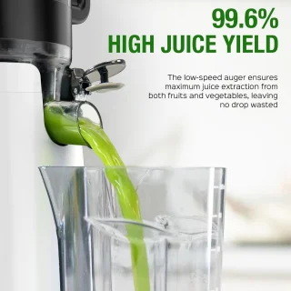 Slowjuicer Koudpers