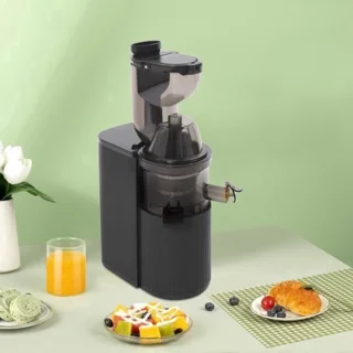 Slowjuicer langzame kauwtype sapcentrifuge