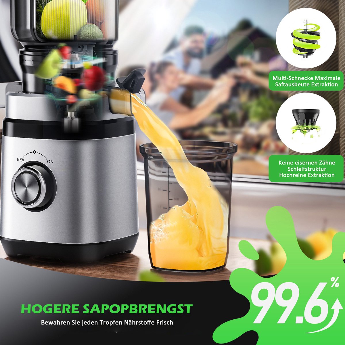 Slowjuicer Professional 1.8L 350W Zilver