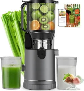 Slowjuicer sapcentrifuge titanium grijs