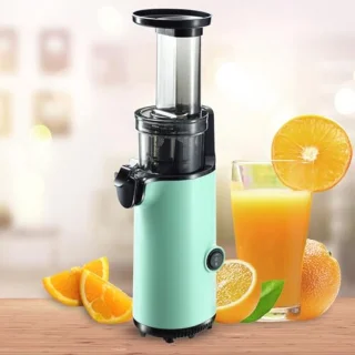 Slowjuicer – Sapmachine