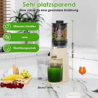 Slowjuicer - Sapmachine