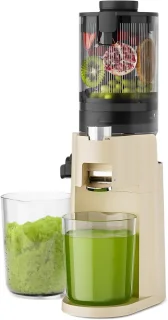 Slowjuicer Sapmaker