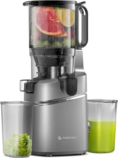 Slowjuicer review