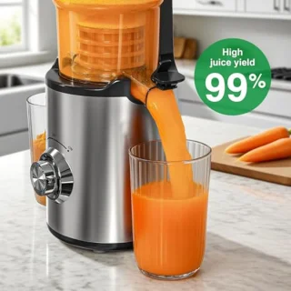 Slowjuicer voor Groenten en Fruit
