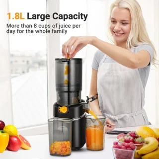 Slowjuicer zilver
