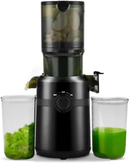 Slowjuicer zwart