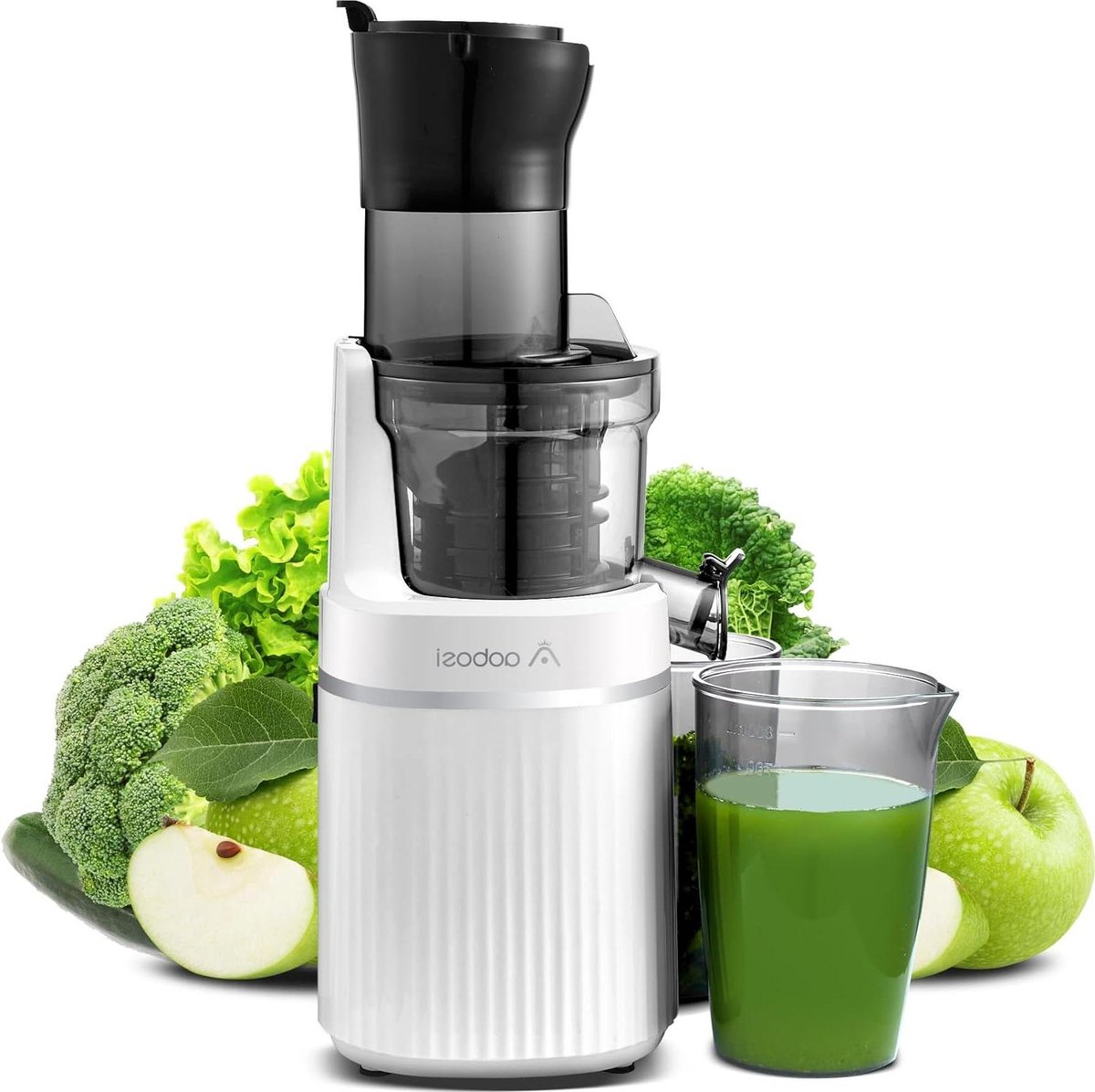 De Smart Chip 200W Slowjuicer Sapcentrifuge in één oogopslag