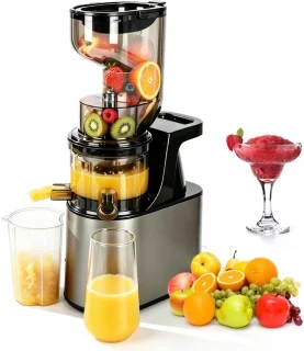 SnelShoppen slow juicer sapcentrifuge