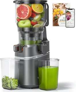 SnelShoppen Slow Juicer sapcentrifuge grijs