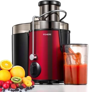 Solidchoice RVS slowjuicer