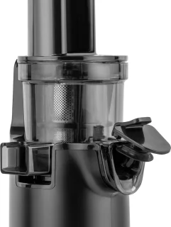 Teesa TSA3233 Slow Juicer Roestvrijstaal