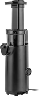 Teesa TSA3233 Slow Juicer Roestvrijstaal