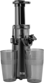 Teesa TSA3233 Slow Juicer Roestvrijstaal
