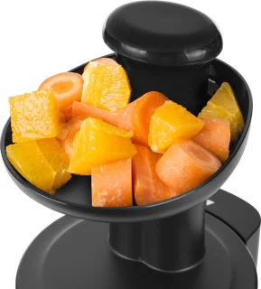 Tristar SC-2303 Slowjuicer