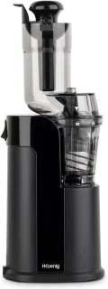 Verticale slowjuicer