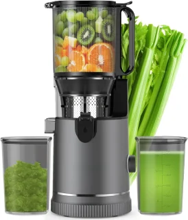 VH Supplies® Slowjuicer