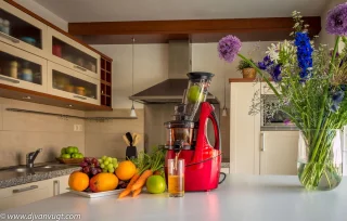 Vierkenzs Elite 1800B slowjuicer wit