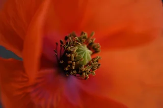 Nikon D7500 Spiegelreflexcamera Body