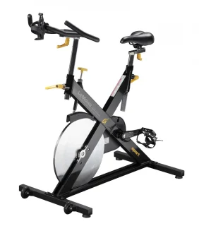LeMond Fitness RevMaster Sport Indoorbike