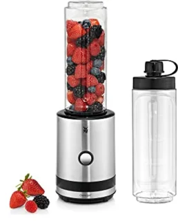 Stainless Steel Smoothie-to-Go Mini Blender