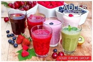 Adler AD 4617 Staafmixer zwart