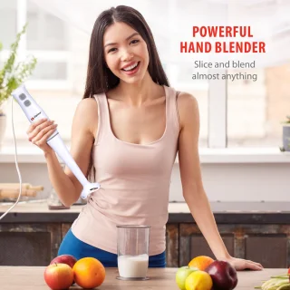 Alpina Staafmixer 400W RVS