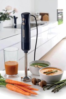Ariete 0601/00 Staafmixer Zwart review