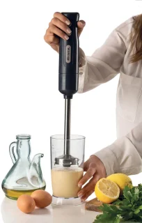 Ariete 0601/10 Staafmixer